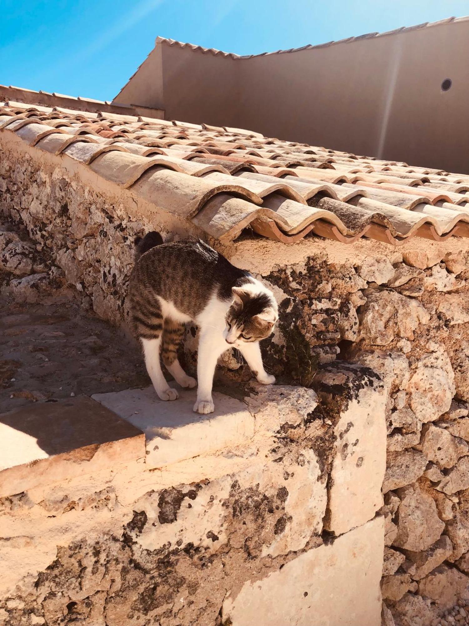Casa Imayah Charming B&B Noto Exterior photo