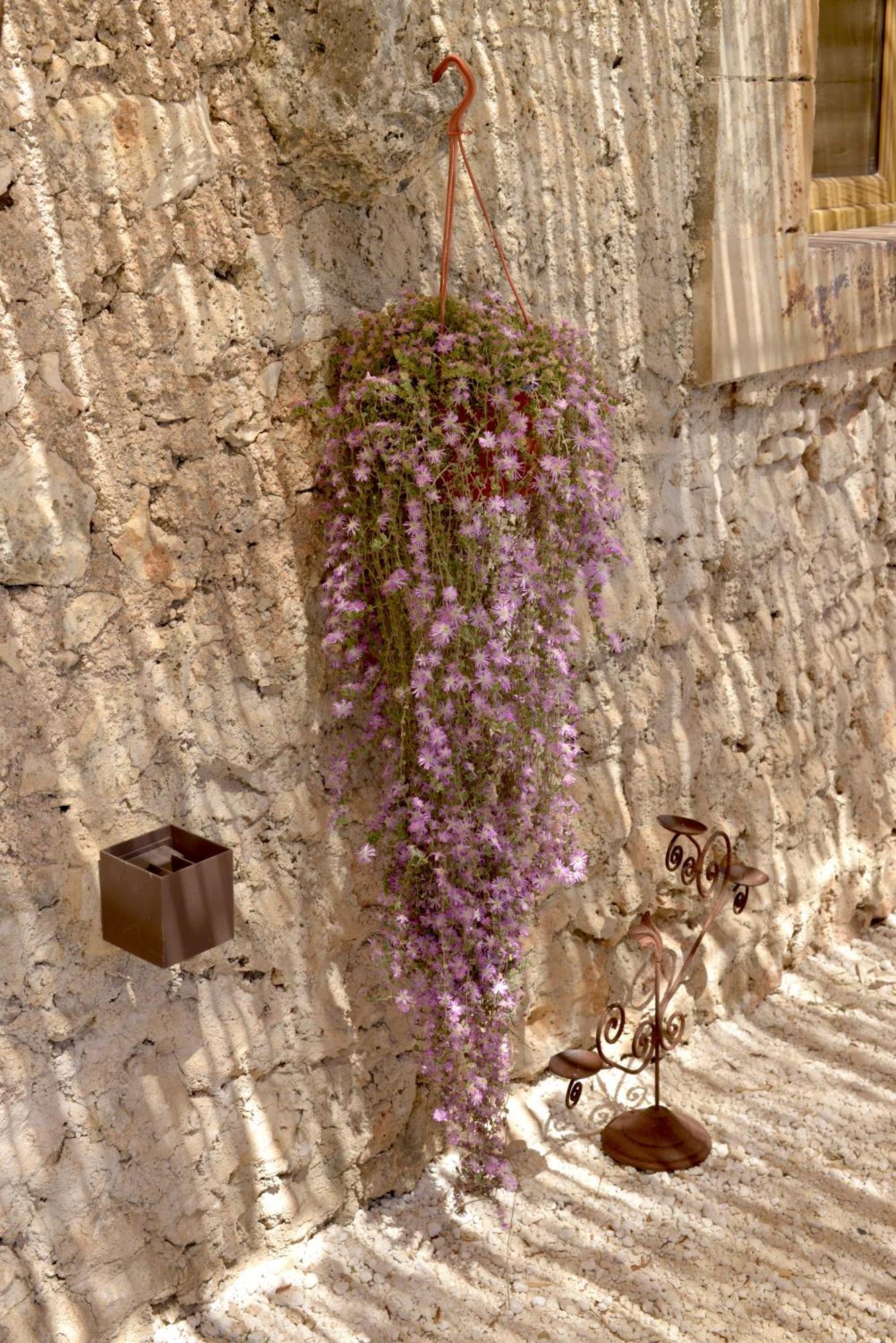 Casa Imayah Charming B&B Noto Exterior photo